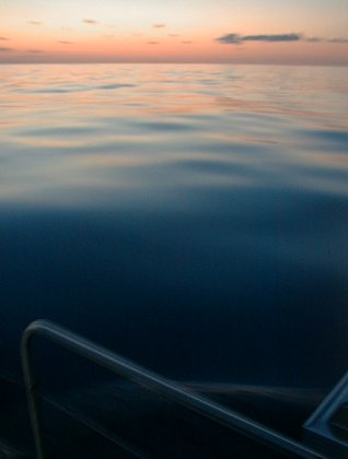 Calm at dawn in the Sargasso Sea