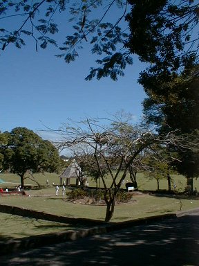 Boys preparing for a cricket match in the park