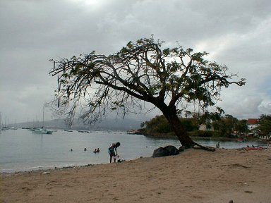 Anse Mitan beach