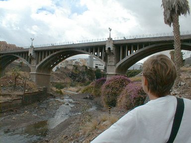 The Bridge over the River Santos