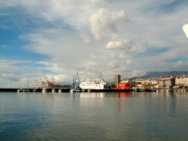 Commercial Harbour - Santa Cruz